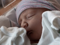 Ethan's 1st Day
