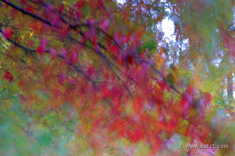 PICT5661-01