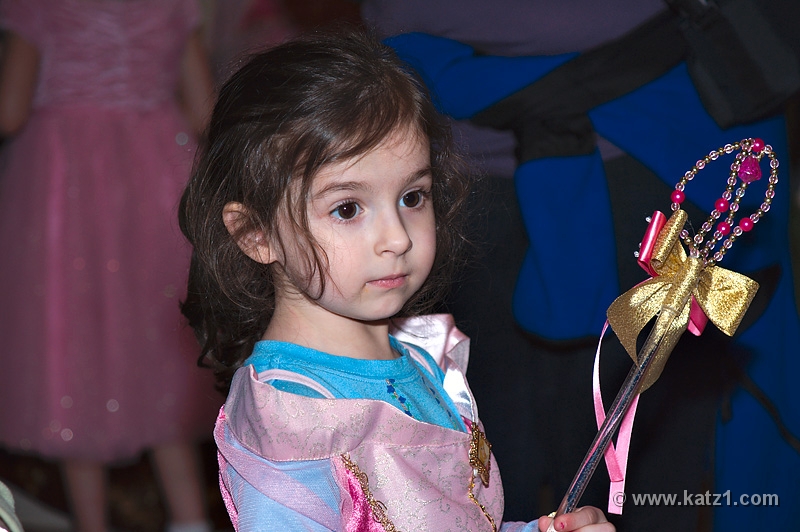 DSC03270B5