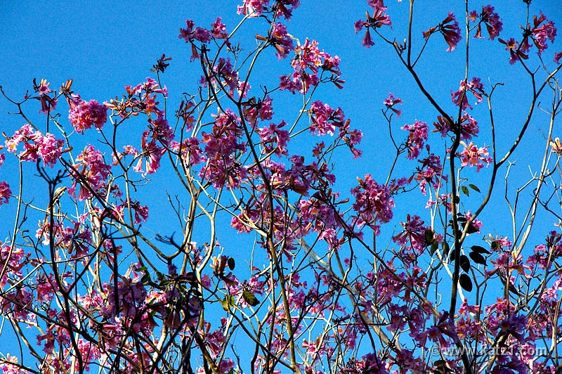 DSC03914B5