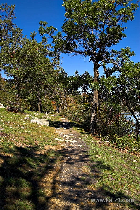 PICT5324-01