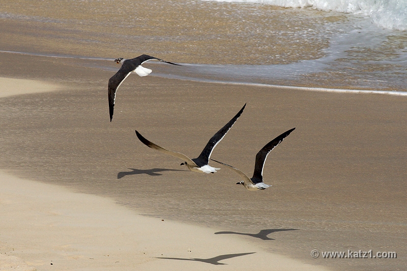 DSC04676B5