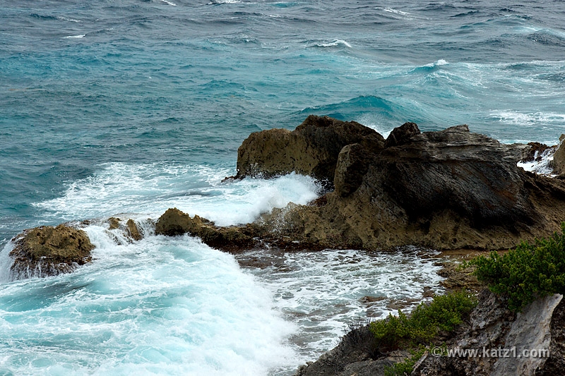 DSC04789B5
