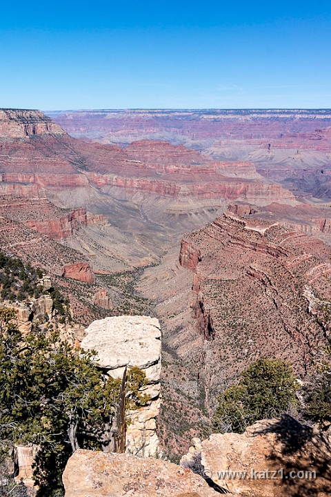  DSC1301-1