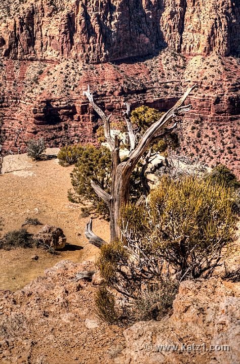  DSC1533 4 5HDR-LR