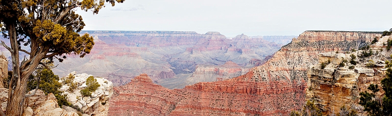 _DSC2373.jpg - SONY DSC