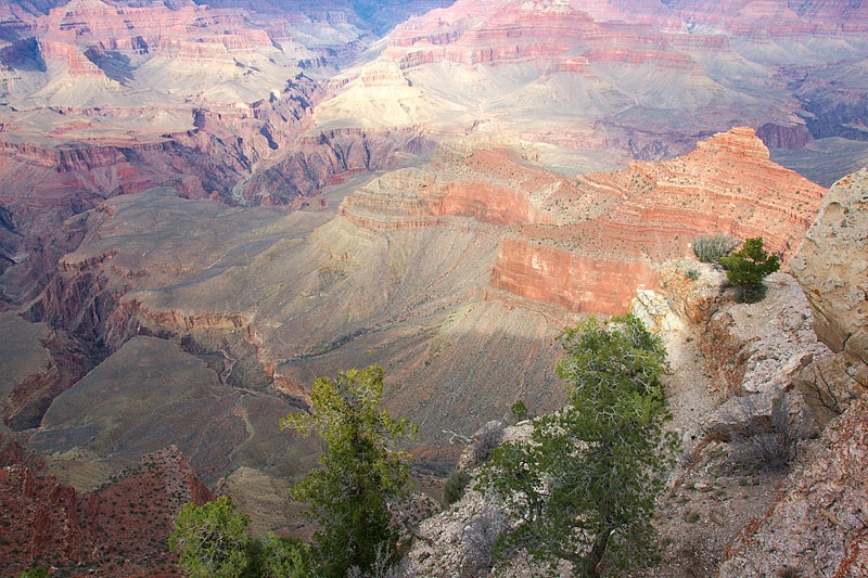 _DSC2438_v2.jpg - SONY DSC