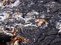 PICT1247-01
