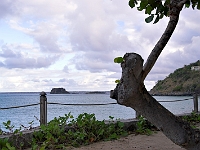 PICT3175-01