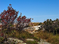 PICT5305-01