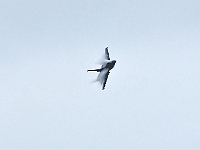 DSC15815 v2
