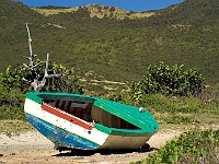 PICT2933-01