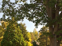 DSC02368
