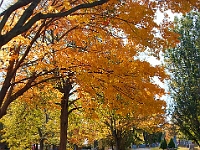 DSC02373