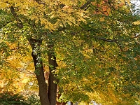 DSC02392