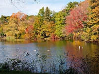 DSC02415
