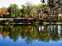PICT5322-01