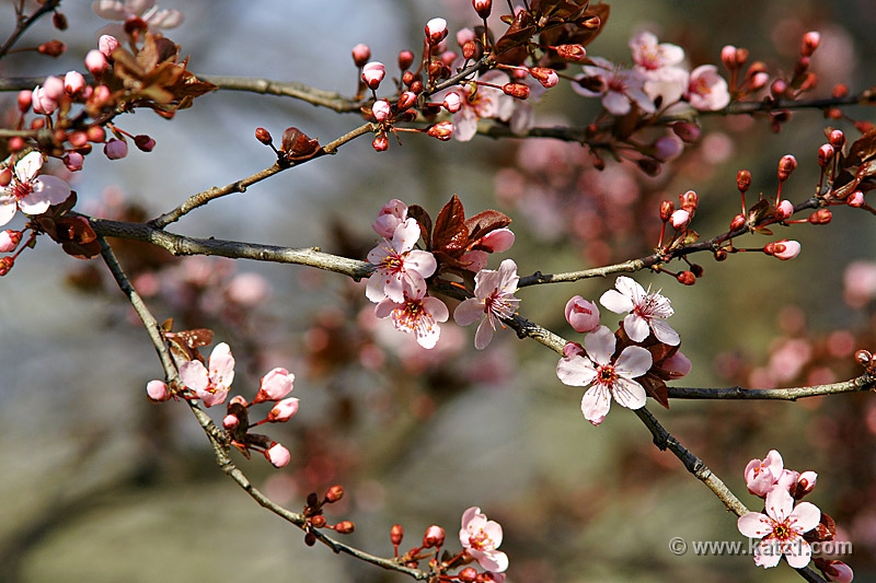 DSC00877J