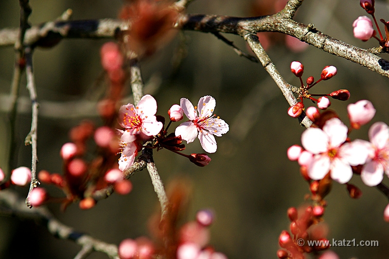 DSC00885J