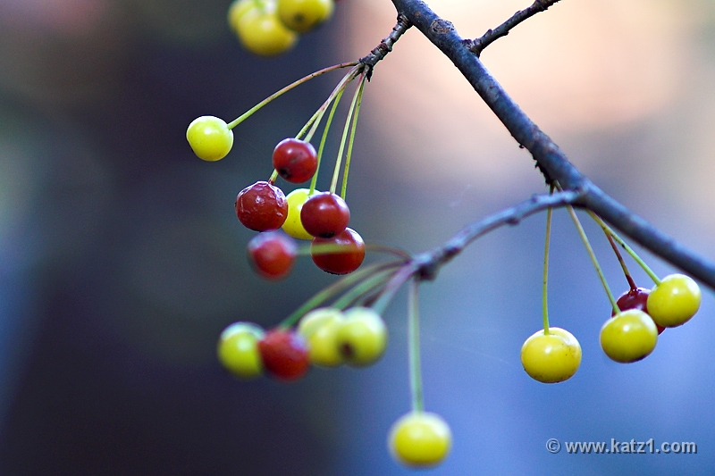 PICT5892-01