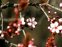 DSC00885J