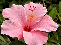PICT0488
