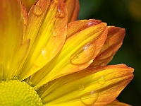 PICT5170-01