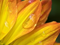 PICT5173-01