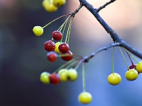 PICT5892-01