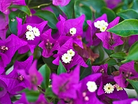 PICT6427-01