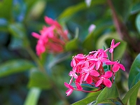 PICT6465-01