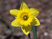 PICT7071-01