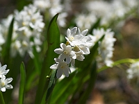 PICT7072-01
