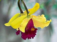 PICT8351-01