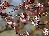 DSC00877J
