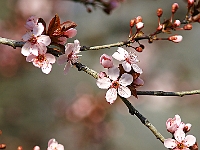 DSC00881J