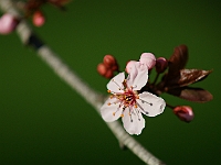 DSC00888J