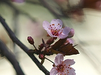 DSC00889J