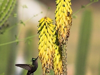 PICT6335-01