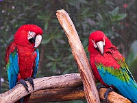 PICT8446-01