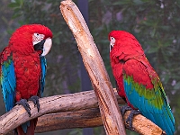 PICT8458-01