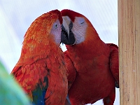 PICT8462-01