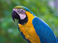 PICT8464-01