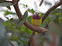 PICT8500-01