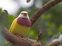 PICT8504-01