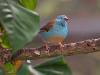 PICT8560-01