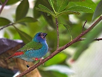 PICT8562-01
