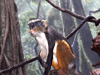 PICT1537-01