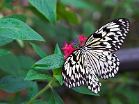 PICT8332-01