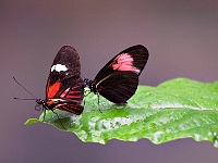 PICT8354-01